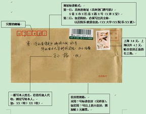 你急需的四六级成绩证明补办方法来了,请注意查收